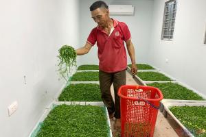 Nuôi loài nhạy cảm, 'khó chiều' trong phòng điều hòa, nông dân ở Nghệ An đổi đời